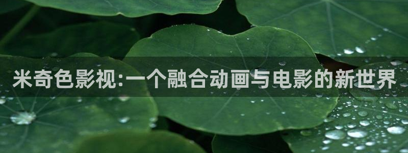 达达兔视频：米奇色影视:一个融合动画与电影的新世界
