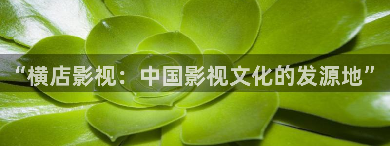 达达兔游戏网：“横店影视：中国影视文化的发源地”
