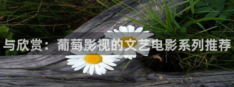 达达兔电影网动漫全集在线：与欣赏：葡萄影视的文艺电影系列推荐