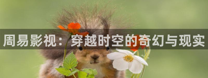 达达兔影视
