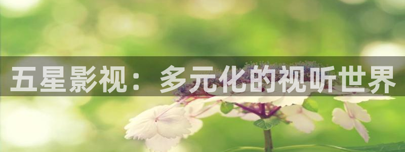 神马影院达达兔我不卡